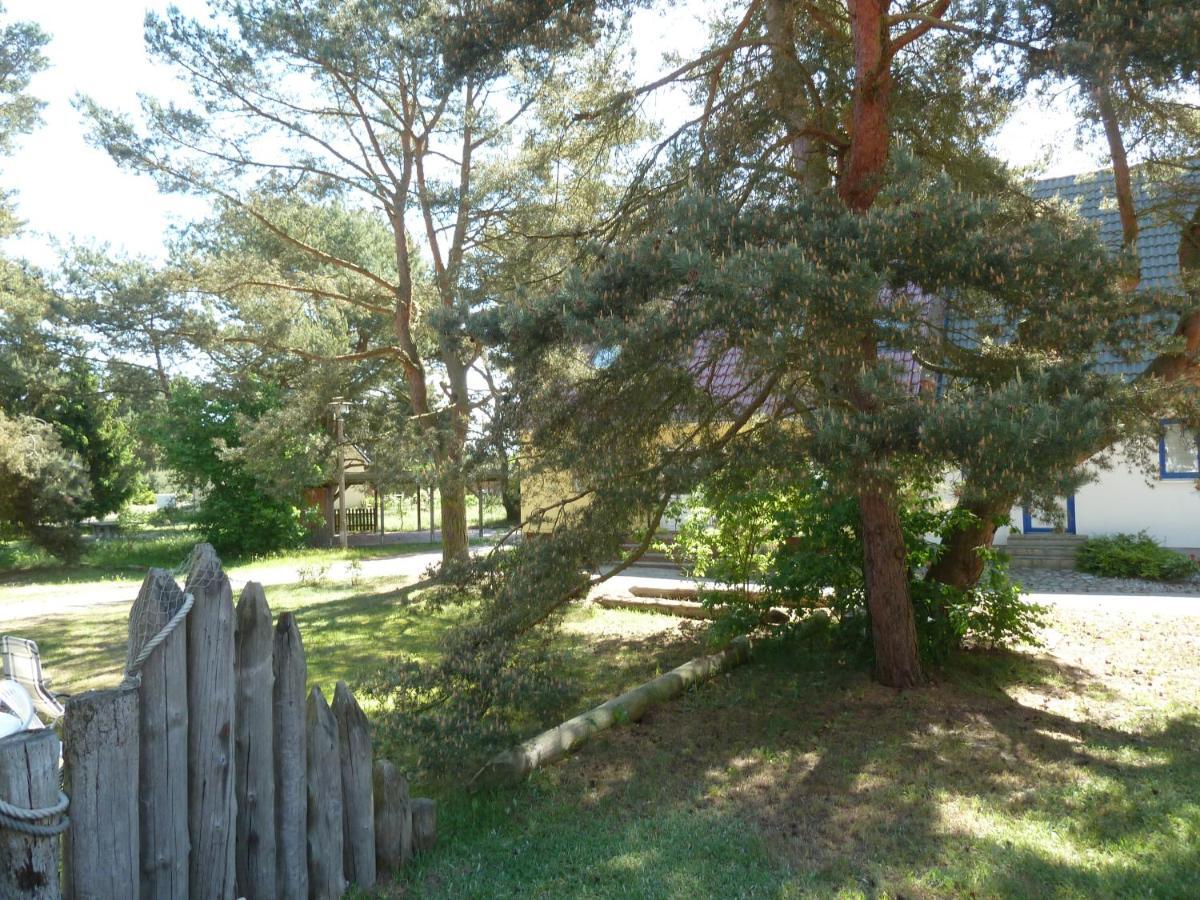 Romantisches Ferienhaus Boddenblick Mit Sauna Pruchten Εξωτερικό φωτογραφία